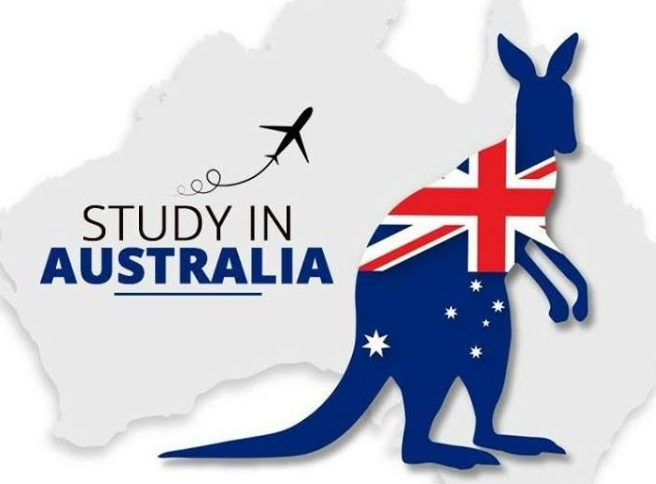 Best immigration consultant in jalandhar