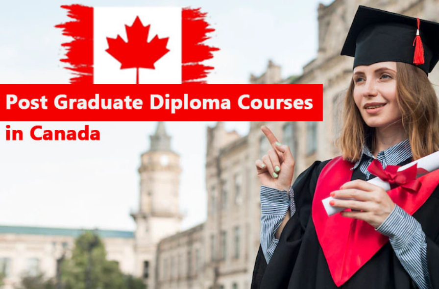 Best immigration consultant in jalandhar punjab