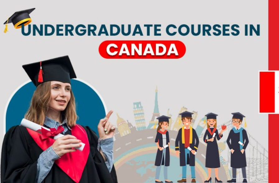 Best immigration company in jalandhar